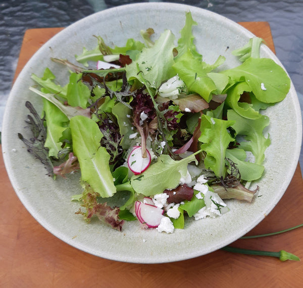 Salad Days Are Here Again