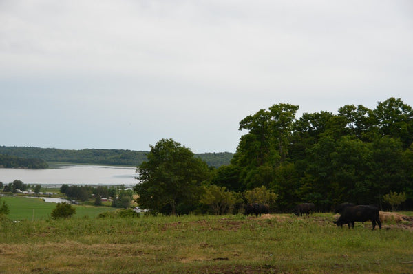 The Penokean Hills Story