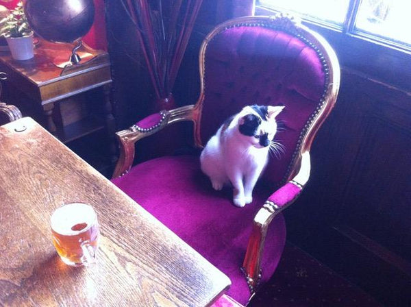 Sanagan’s Summertime Beer Simplifier Guide