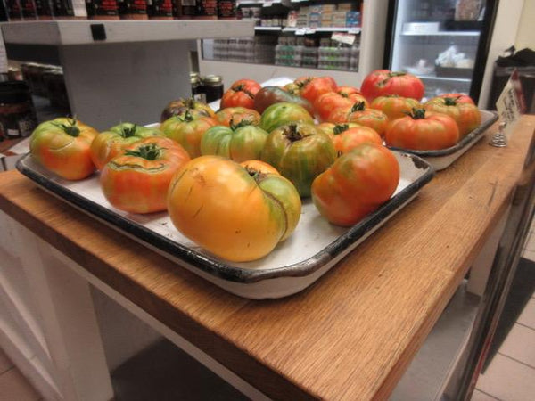 Harvest Time at Sanagan's