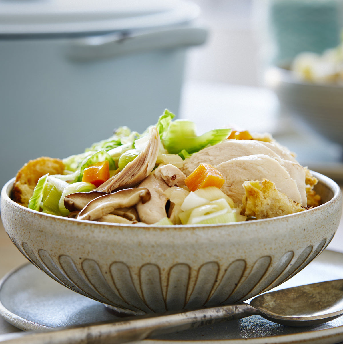 Whole Chicken Soup