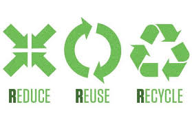 Environment Committee Mission Statement