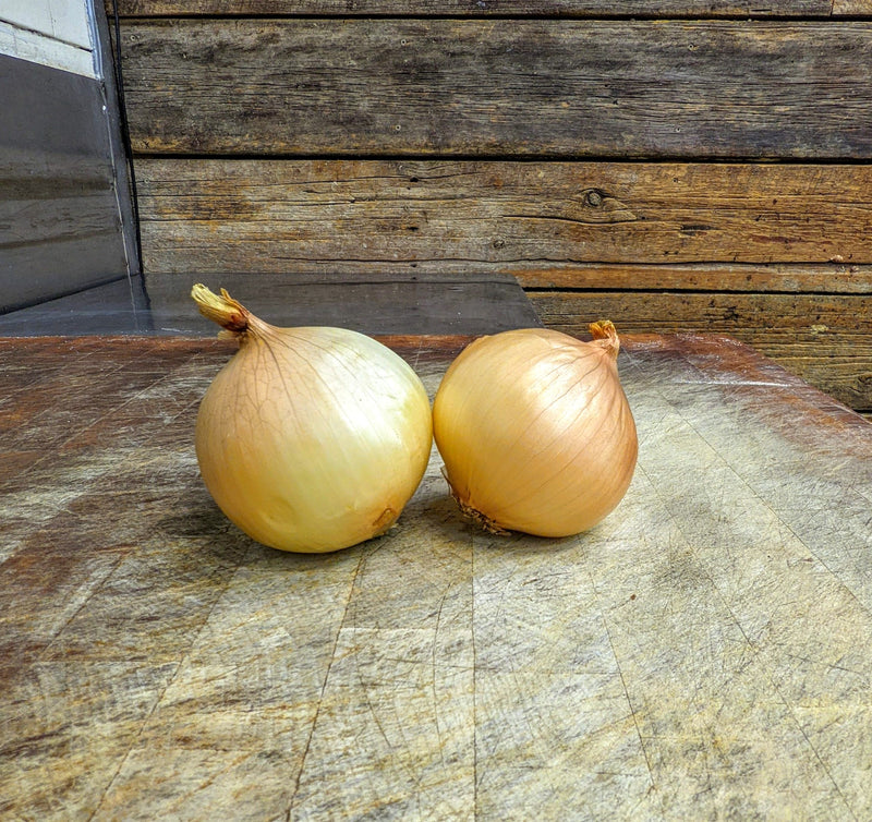 Cookstown Greens: Organic Sweet Onions