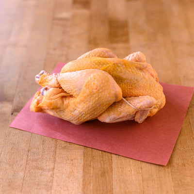 Heritage Chickens - Rhode Island Red