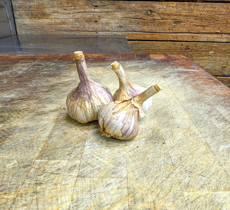 Stone Soup Farms: Organic Garlic